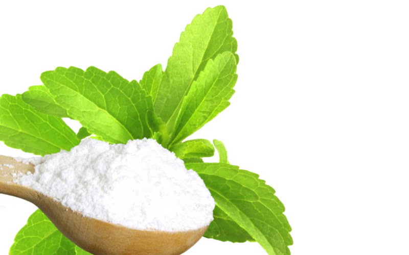 Bild zeigt Steviapflanze